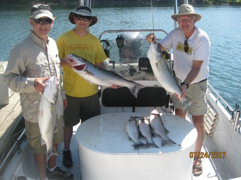 Nice Striped Bass